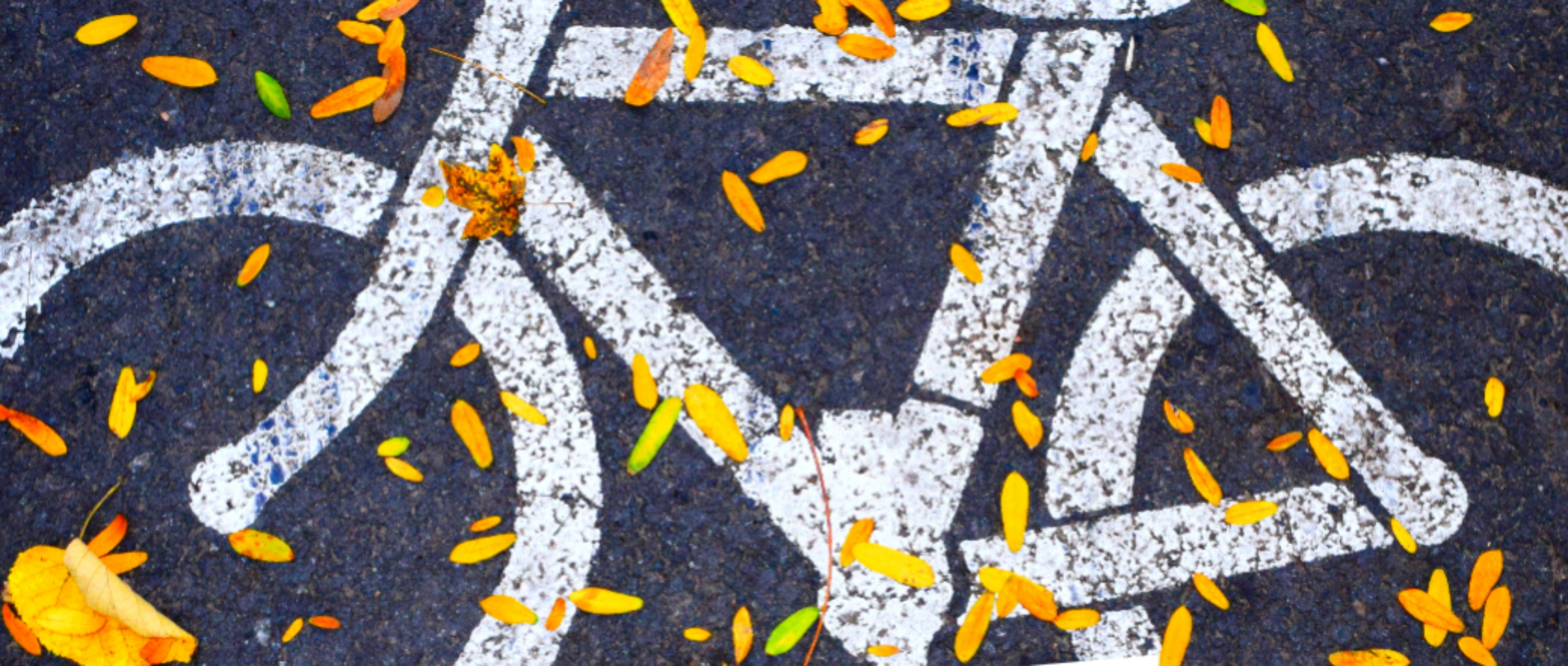 Velo mit weisser Farbe gesprayt auf Teer-Strasse.